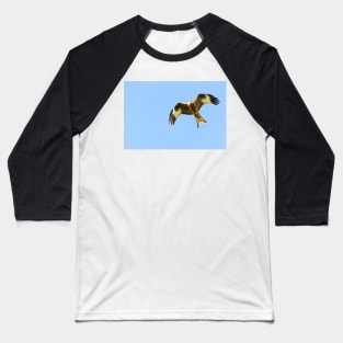 Red Kite in Flight Baseball T-Shirt